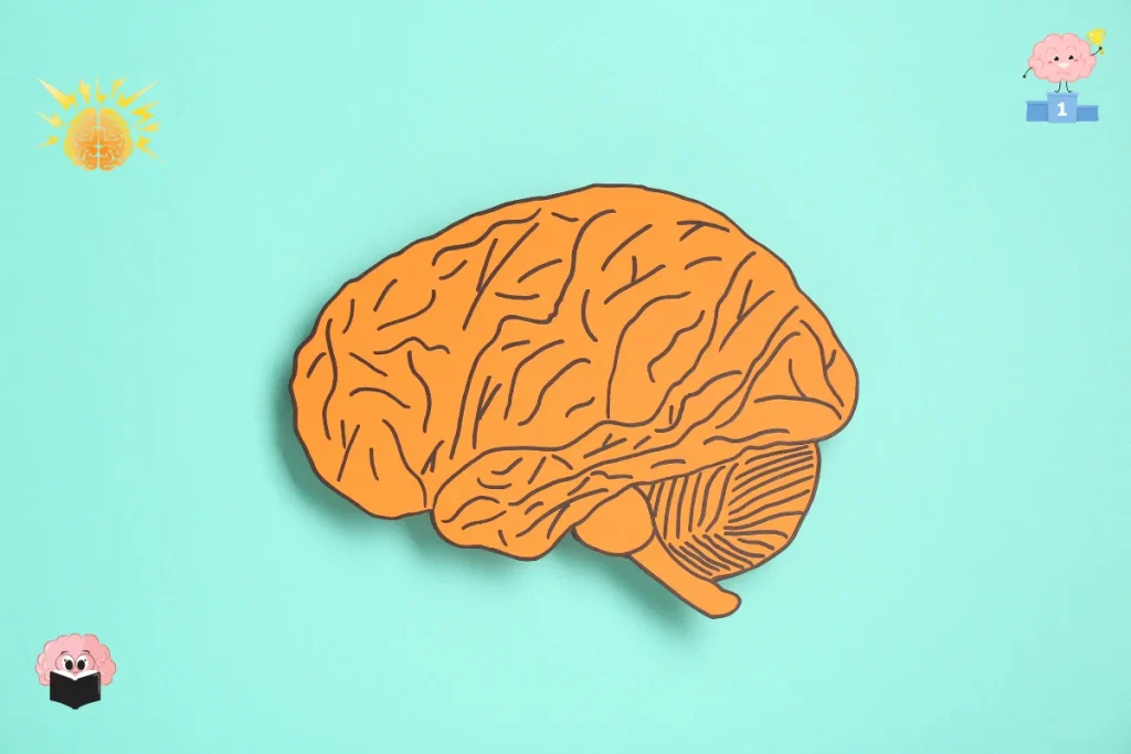 This image is describing US Mental Math Federation Competitions.